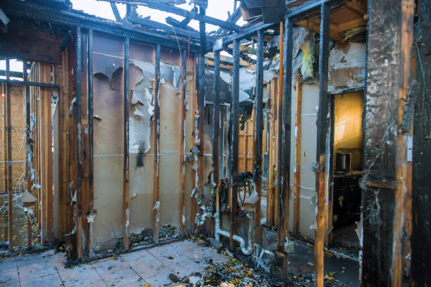 Professional Soot Cleanup technician working in Upper Grand Lagoon, FL